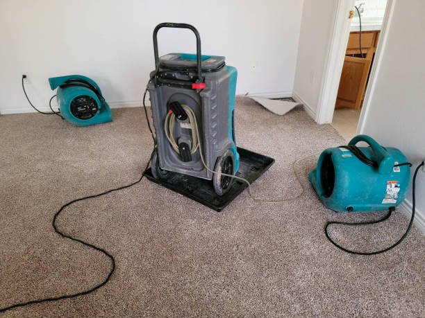 Best Water damage contractors near me  in Southmont, PA