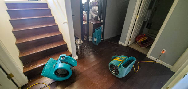 Best Water damage restoration process  in Southmont, PA