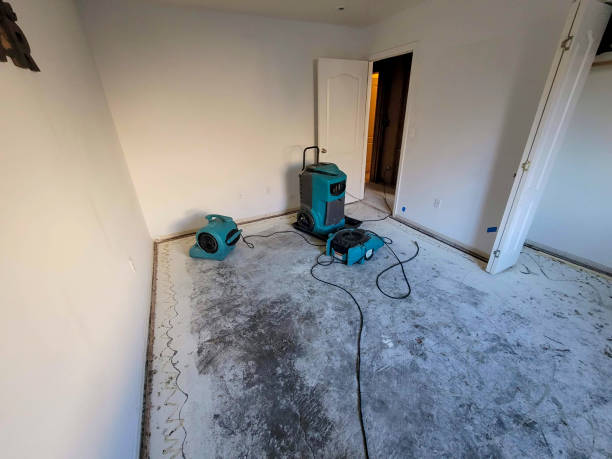 Best Water damage restoration insurance claims  in Southmont, PA