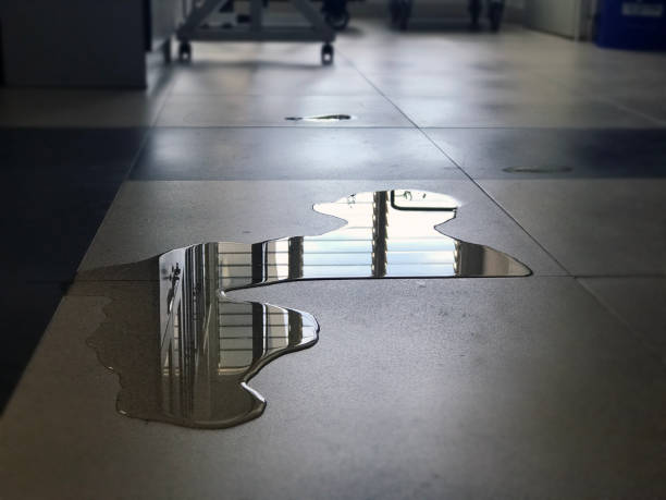 Best Professional water damage repair  in Southmont, PA