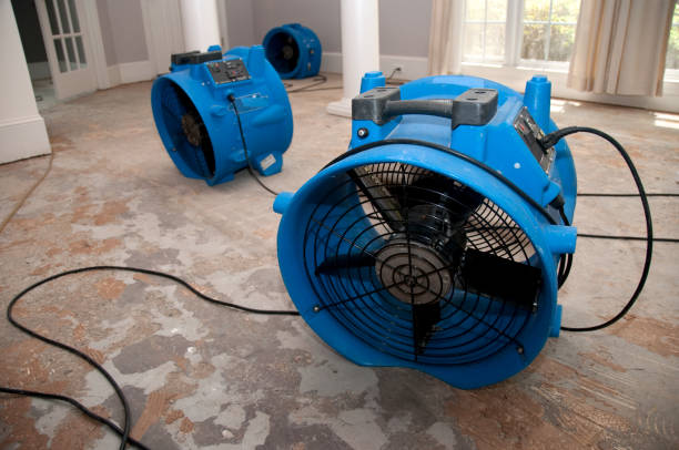 Best Water damage cleanup near me  in Southmont, PA