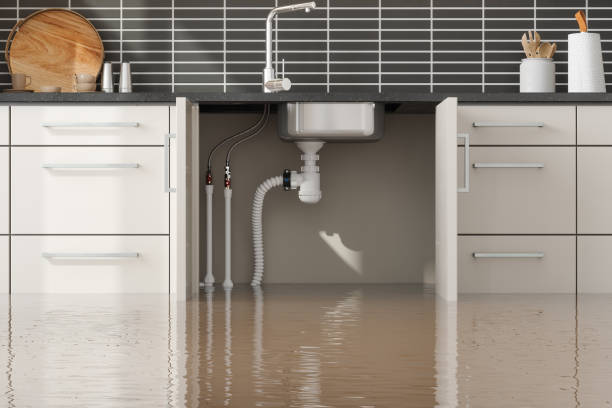 Best 24-hour water damage restoration  in Southmont, PA